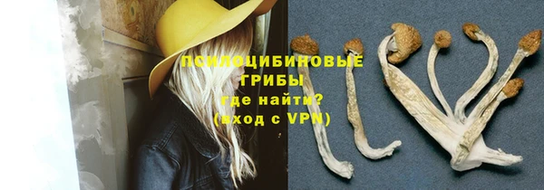 таблы Алзамай