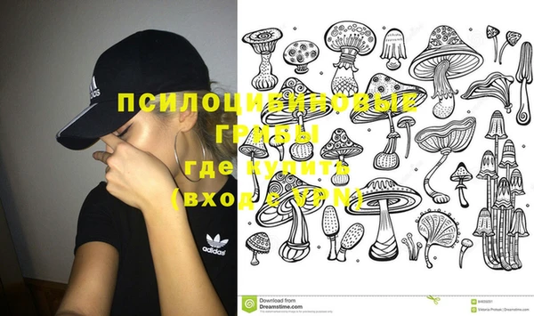 дмт Алексин