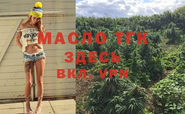дмт Алексин